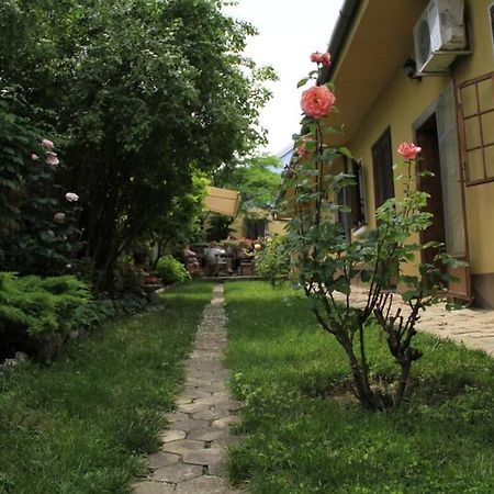 Apartman Brankova Kuca Karlóca Kültér fotó