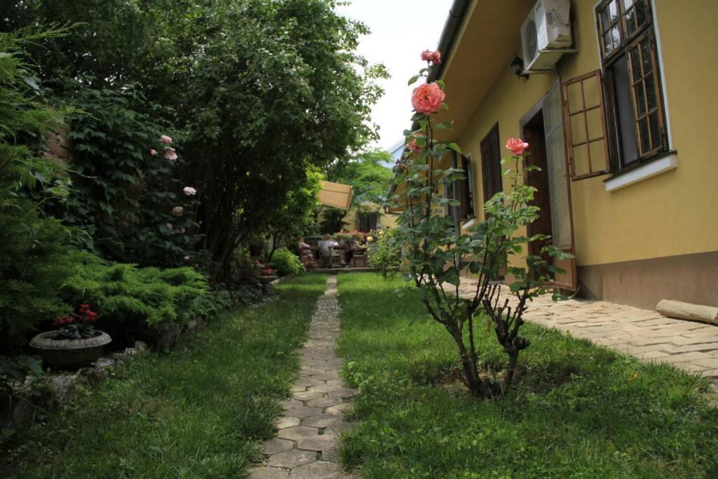 Apartman Brankova Kuca Karlóca Kültér fotó